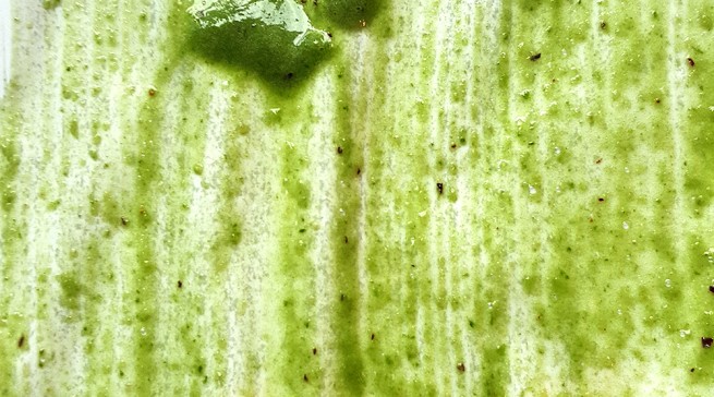 Wir haben den "Grünen Smoothie" mal auf ein Blatt Papier gestrichen. Man sieht, dass von den einzelnen Zutaten so gut wie nichts mehr übrig ist.