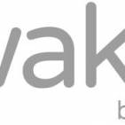 Waketo: Mit Videokursen auf Erfolgskurs.