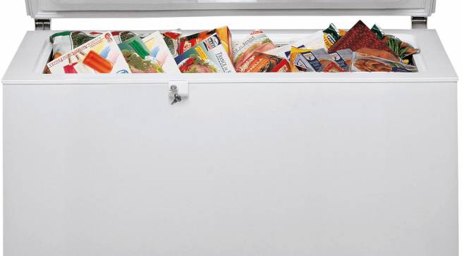 Für Frischeliebhaber: Der Testsieger GTE 220 A3+ von Bauknecht.