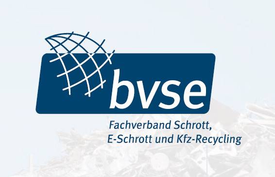 Logo bsve