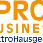 Pro Business Logo