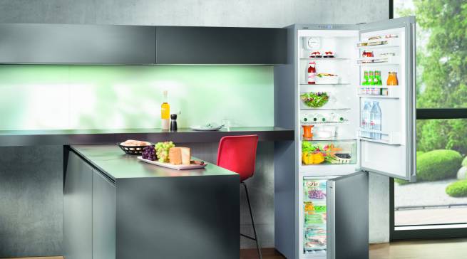 Testsieger: Kühl-Gefrier-Kombination CNP(el) 4813 von Liebherr.