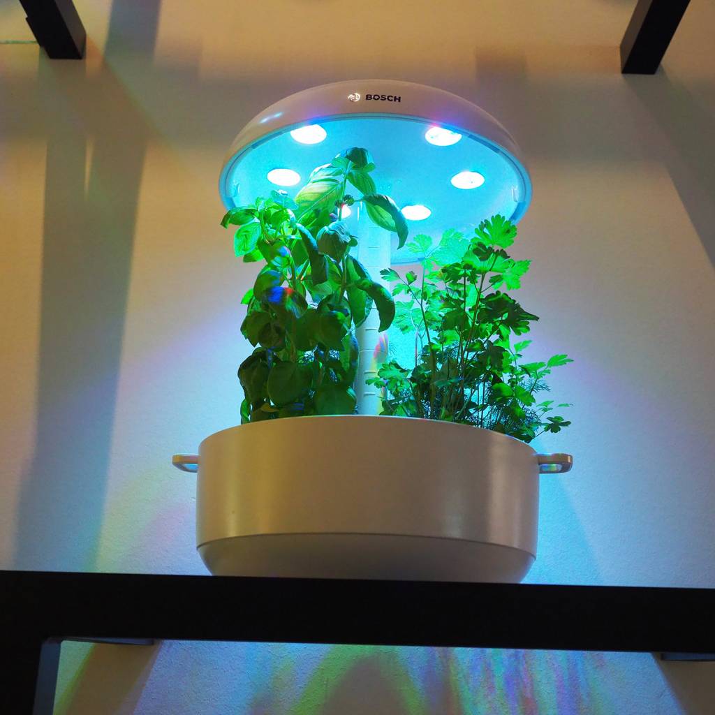 IFA 2018 Bosch Smart Grow Halle 3.1