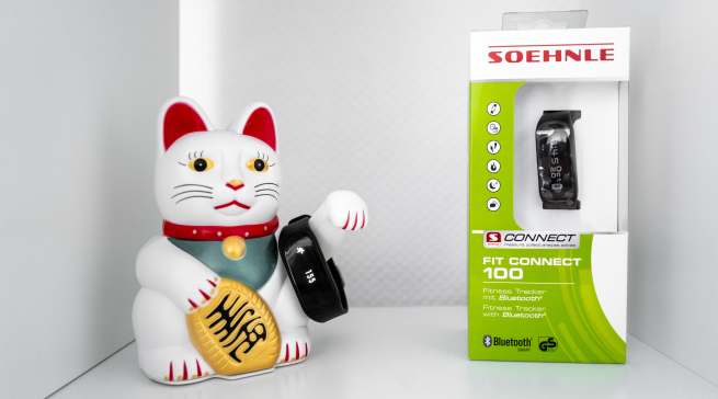 Soehnle