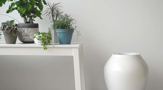 Balmuda Luftbefeuchter Rain im Vasen-Design.