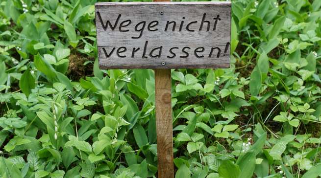 Bild Pixabay