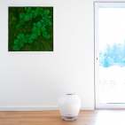 Balmuda Rain – Luftbefeuchter