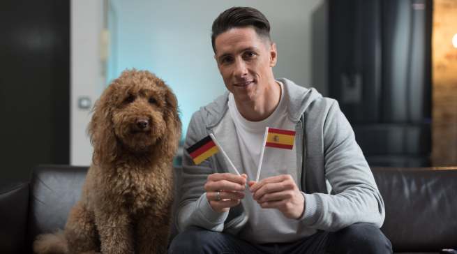 Hisense ist mit Fernando Torres, spanischer Gewinner des Goldenen Schuhs der UEFA Euro 2012, eine Patenschaft eingegangen. Fans können sich der Jagd des Starstürmers nach orakelnden Tieren anschließen, indem sie Bilder und Videos ihrer eigenen Haustiere in Aktion teilen.