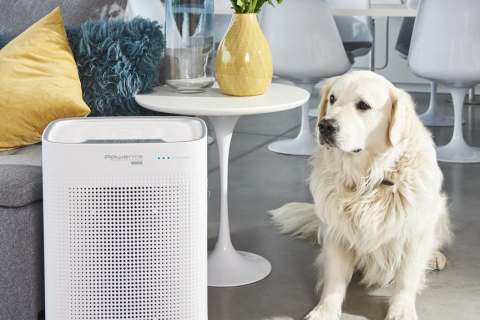 Rowenta Luftreiniger Pure Air Genius mit Steuerung per App.