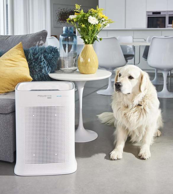 Rowenta Luftreiniger Pure Air Genius mit Steuerung per App.