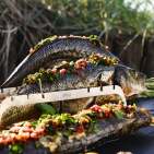 Wolfsbarsch im Ganzen mit Avocado und Oliven. Foto: Rösle