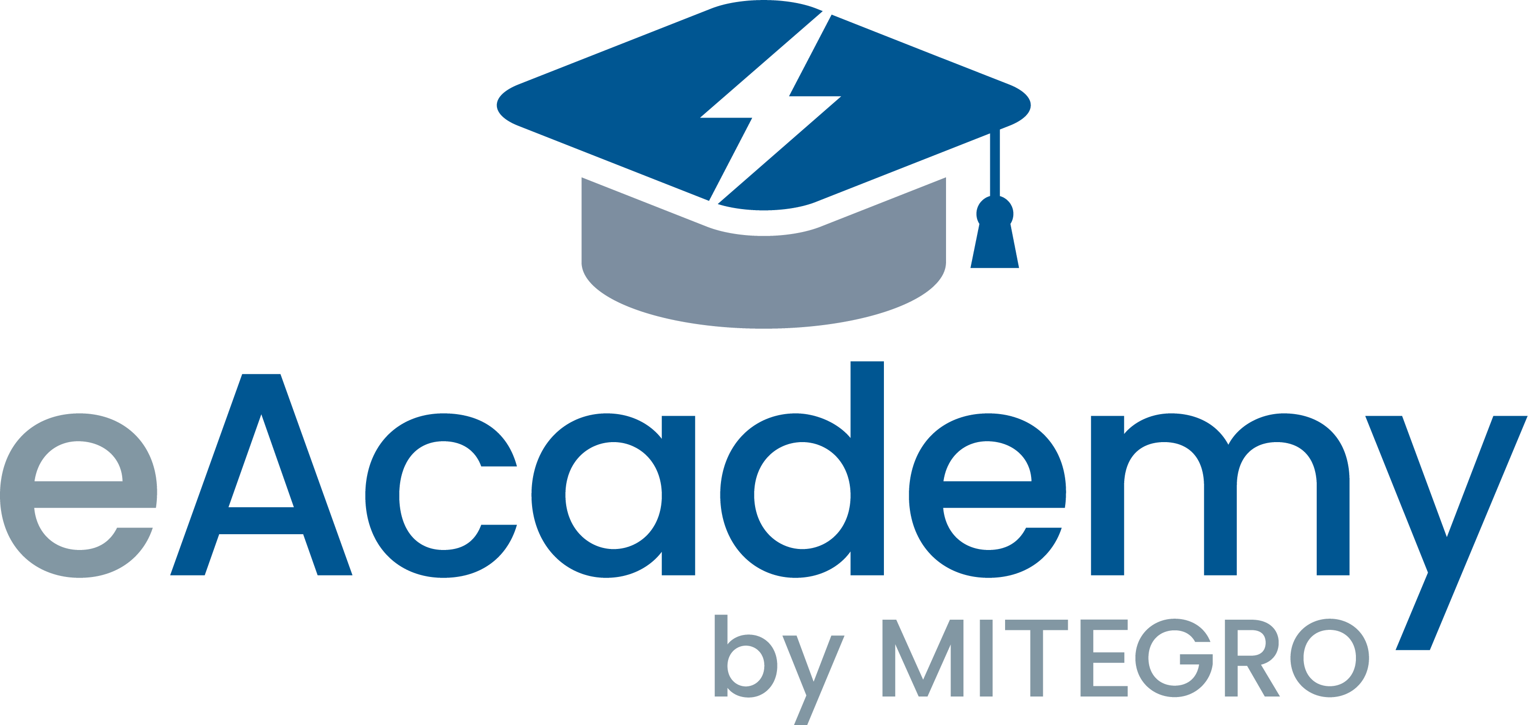 Logo Academy by MITEGRO