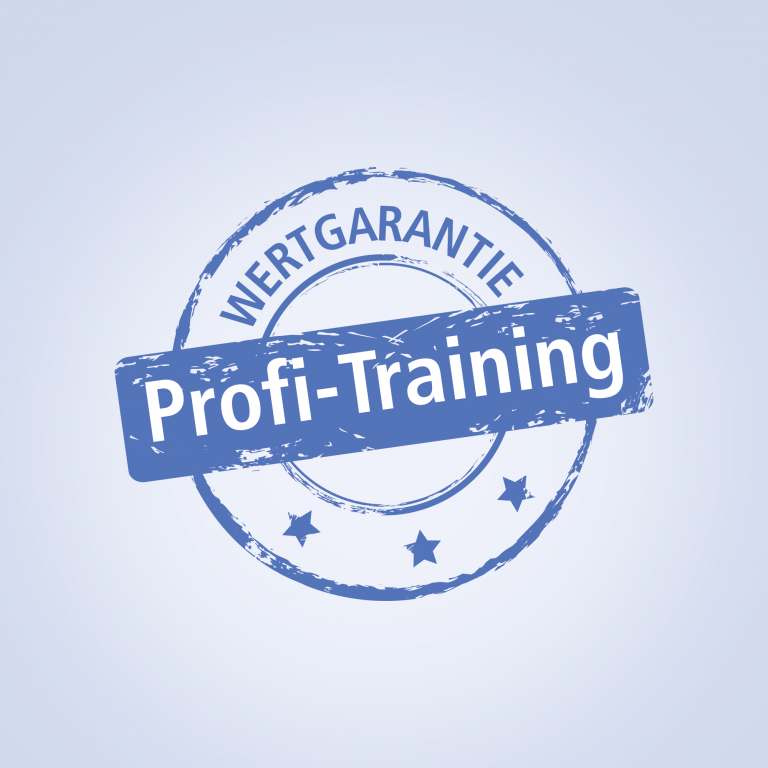 Profi-Training Online