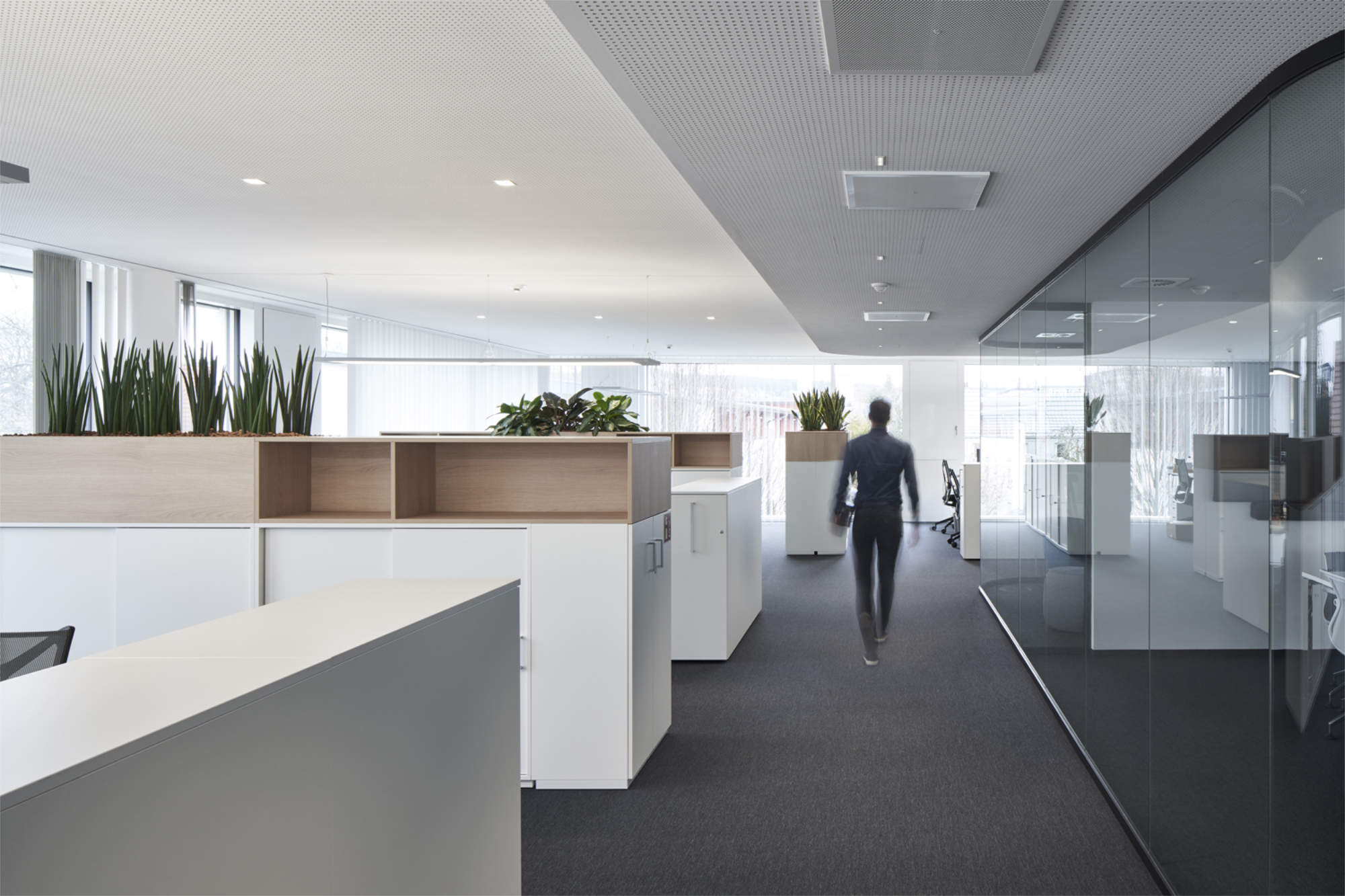 Beurer Campus: Moderne Büros