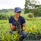 Miele startet ein regeneratives Kaffeeanbauprojekt in Brasilien. Auf unserem Foto begutachtet eine Projektmitarbeiterin einen Kaffeesetzling auf der Plantage. Fotos: reNature