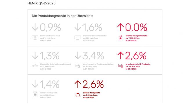Hemix Zahlen Q1 und Q2 2025