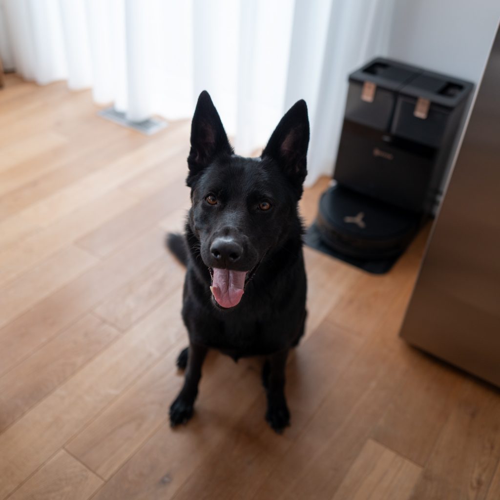 Ecovacs Deebot X8 Pro Omni im Test