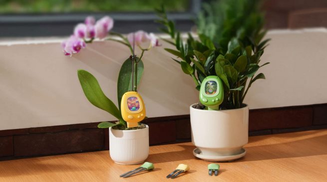 SoildTech präsentiert auf der IFA 2026 die überarbeitete Version von PlantSenso, einem digitalen Pflanzenbegleiter mit Sensorik, NFC-Funktionen und spielerischen Elementen.