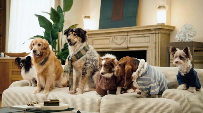 Paw Patrol: Brad Pitt wird von seinen vierbeinigen Freunden auf Schritt und Tritt beobachtet. (©De‘Longhi)
