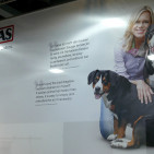 Halle 4.1. - Thomas: Neuer Stand mit Markenbotschafterin Nina Ruge Halle 4.1. - Thomas: Neuer Stand mit Markenbotschafterin Nina Ruge