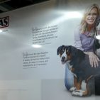 Halle 4.1. - Thomas: Neuer Stand mit Markenbotschafterin Nina Ruge Halle 4.1. - Thomas: Neuer Stand mit Markenbotschafterin Nina Ruge